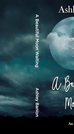 design-a-beautiful-professional-looking-book-cover